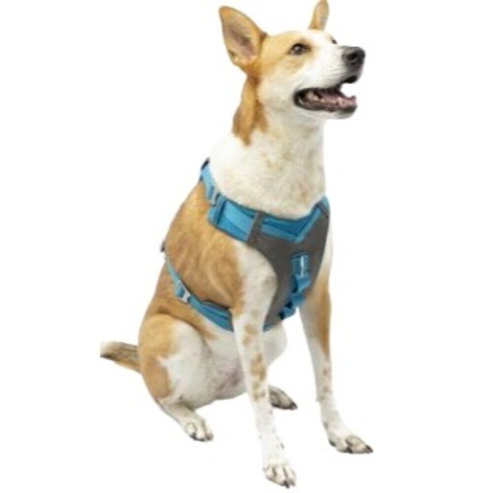 Kuro Journey Air Dog Harness Vest Reflective Padded  Blue Large
